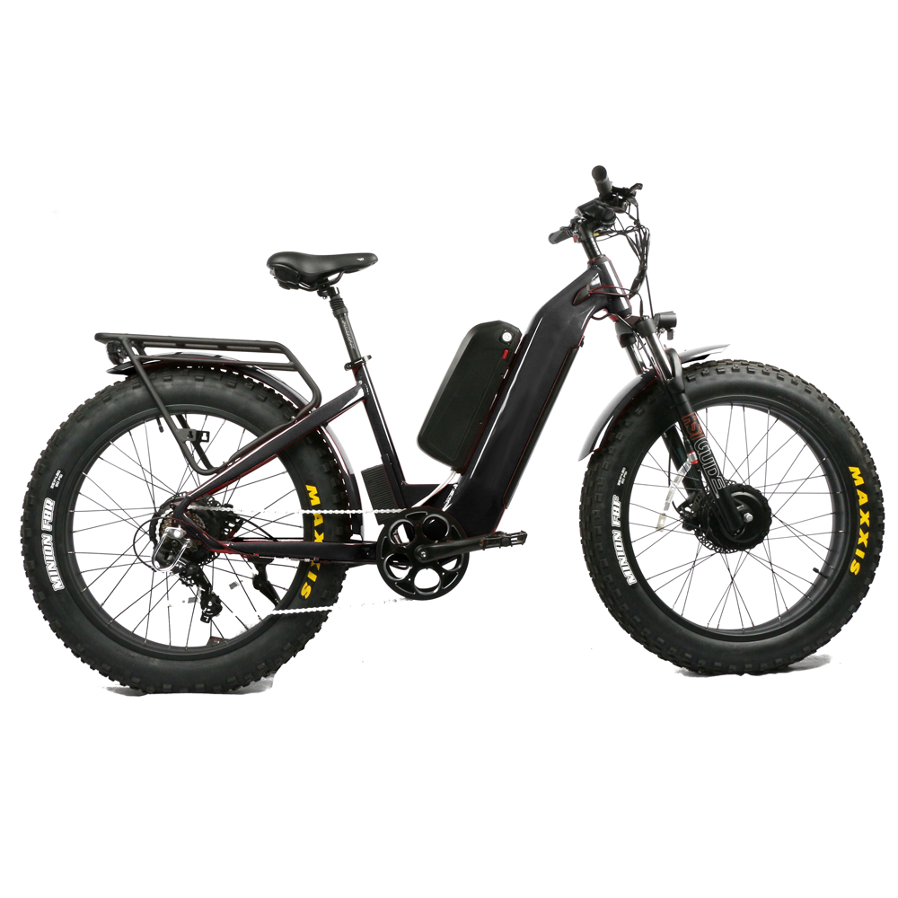Hydraulic Front Fork Within Ch - Dual Motor Electric Motorcycle Frame 评论和价格